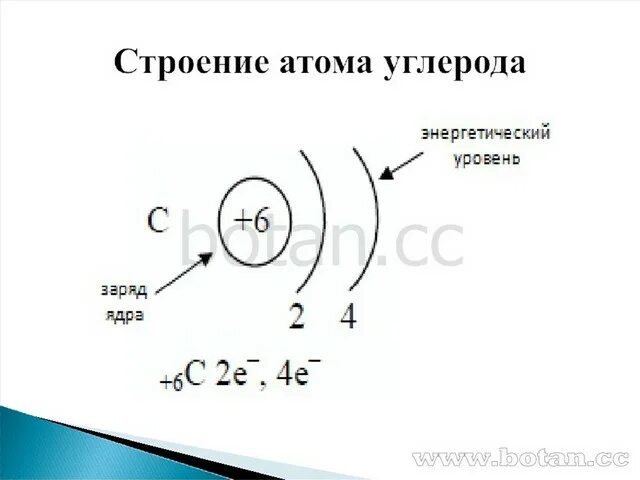 Строение энергетических уровней углерода. Строение ядра углерода схема. Схема строения атома химического элемента углерода. Атом углерода схема строения атома.