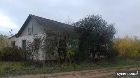 Авито даниловка