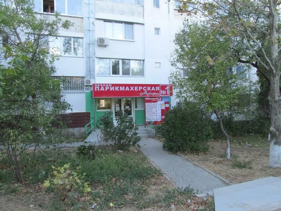 Пор 56 г. Твой корм акари киар севастополь. Севастополь пор 56 а на карте. Проспект октябрьской революции 56б севастополь. Тц олимпия севастополь.