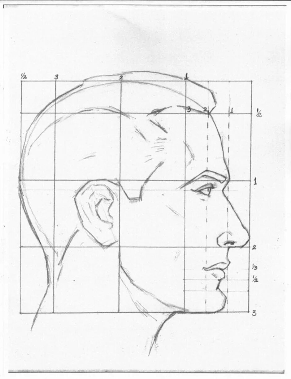 Мужское лицо в профиль. Рисование лица в профиль. Изображение головы. Лицо в профиль схема. Профиль поэтапно