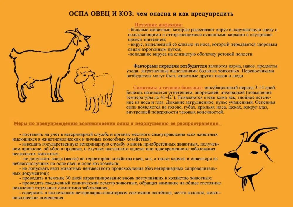 Правила мрс