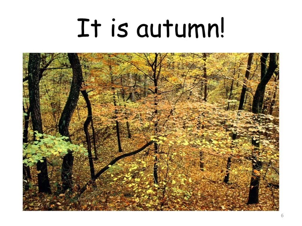 It is autumn it is getting cold