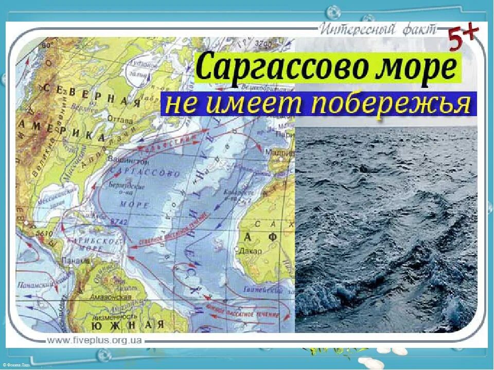 Перечисли моря атлантического океана. Атлантический океан Саргассово море. Саргассово море на карте. Саргассово море на карте Атлантического океана. Сарагасовое море на карте.
