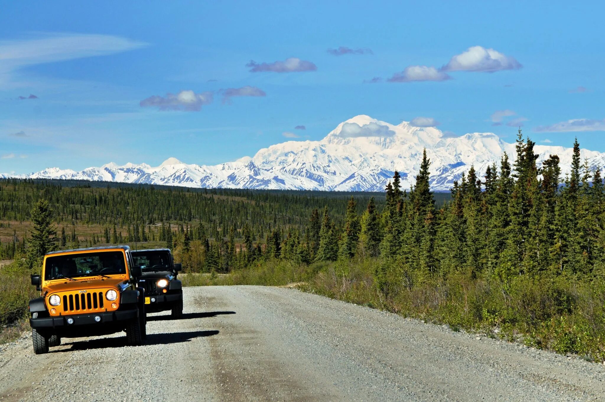 Машина аляска. Денали джип. Аляска. Denali National Park. Национальный парк Денали Аляска Дикая природа.