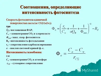 Единичная поверхность
