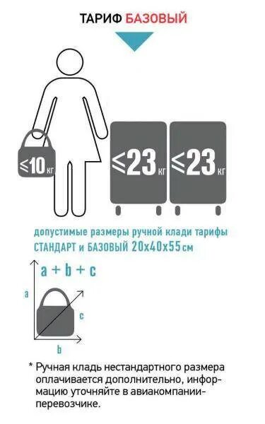 Габариты багажа с7 на 23 кг. Аэрофлот ручная кладь 10 кг габариты. Норма багажа 1рс что это. Багаж кг 1м Аэрофлот. Самолет ред вингс ручная кладь