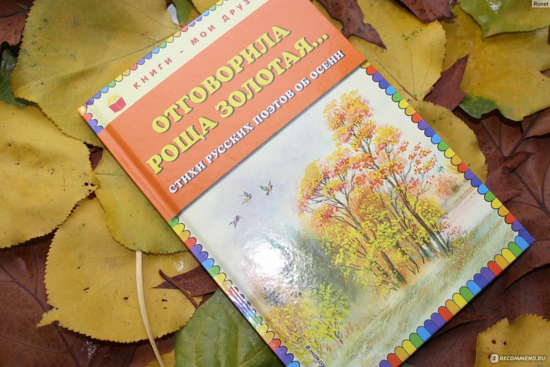 Книга про ос. Детские книги про осень. Сборник стихов осень благинина. Книги про осень. Книги про осень 2 класс названия.