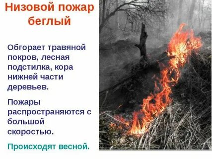 Лесные и торфяные пожары причины