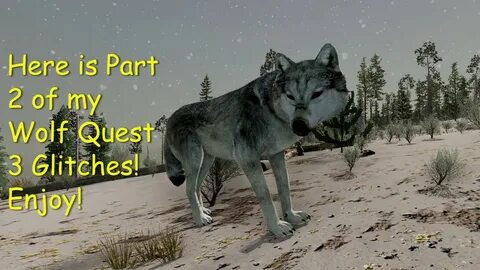 Wolf quest