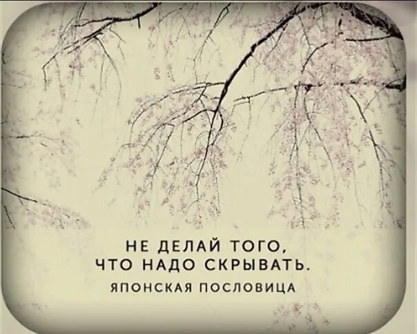 Не делай того что надо скрывать японская пословица. Не учи судьбу плохому японская пословица. Японская пословица про судьбу. Есть что скрывать. Тест что ты скрываешь