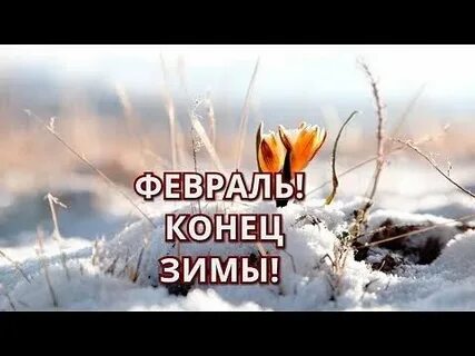 Это последняя зима