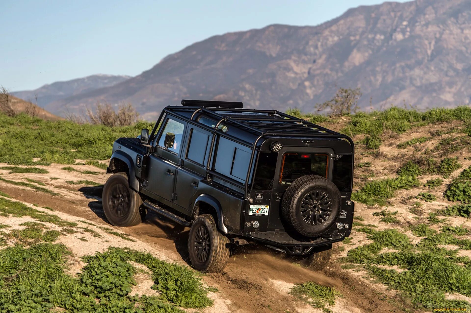 Defender stix