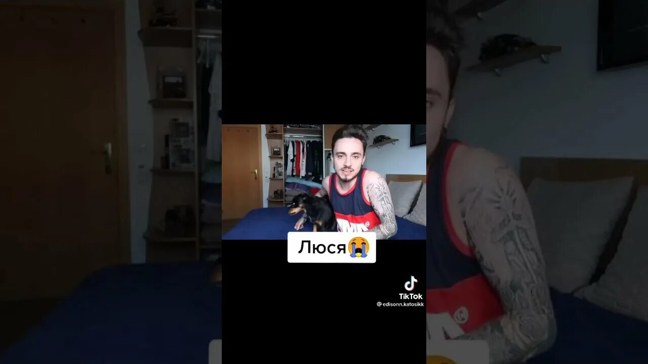 Давайте вспомним всех люся. Люся эдисона. люси собака эдисона. фото эдисона и люси.