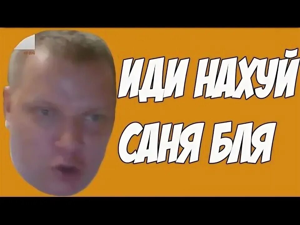 Саня собака мем. Саня пес. Я собака ты собака. Саня сука. Санек пальков.