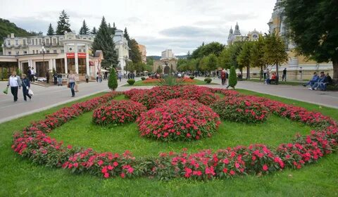 Кисловодск цветочный