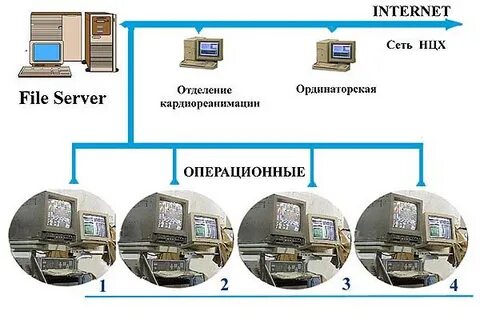 Комплекс сети
