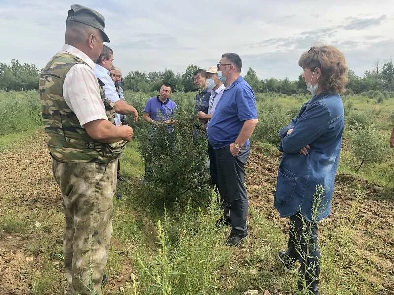 Какая дорога цаган амана с большого царына. Погода в цаган морине. Цаган морин село. Чимитов шираб цаган морин. Бурятия цаган морин село.