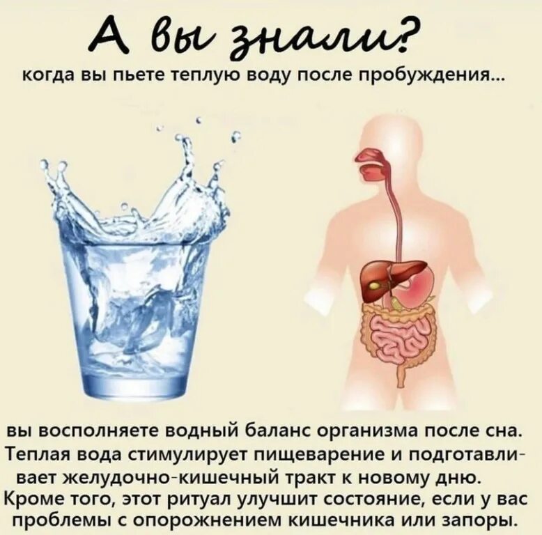 После дыни пить воду. Молоко из дынных семечек. Молочная дыня. Молоко с дыней. После дыни пить воду.