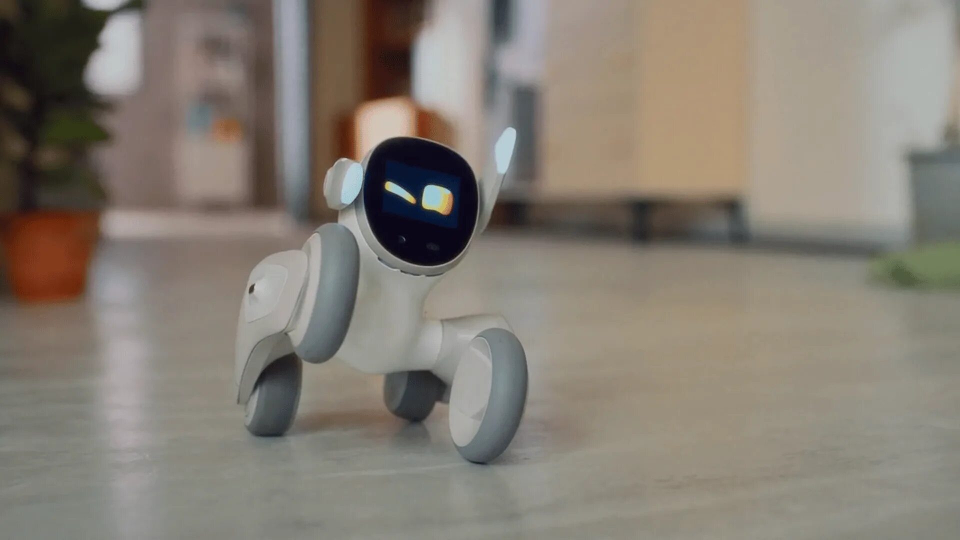 Moon robots