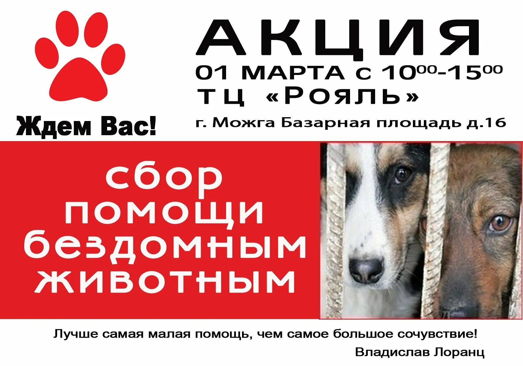 Акция по сбору корма для животных. Акция помощь бездомным животным. акция по сбору корма для бездомных животных. акция сбор корма для бездомных животных. благотворительная акция для бездомных животных.