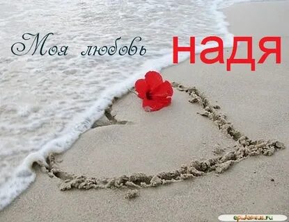 Здравствуй любимая