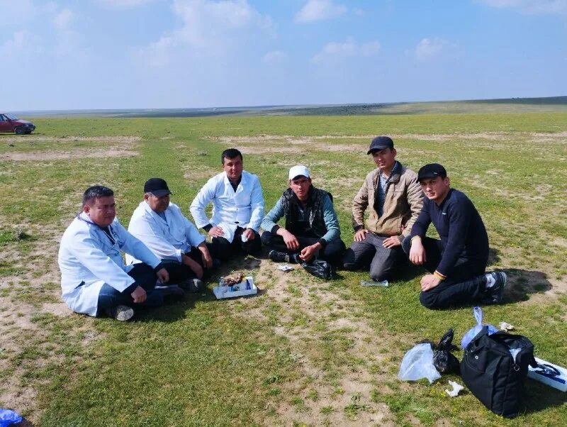 Ta'lim. талабалар. Yoshlar. шахрисабз педагогика институти. Talaba otmsamvmi.