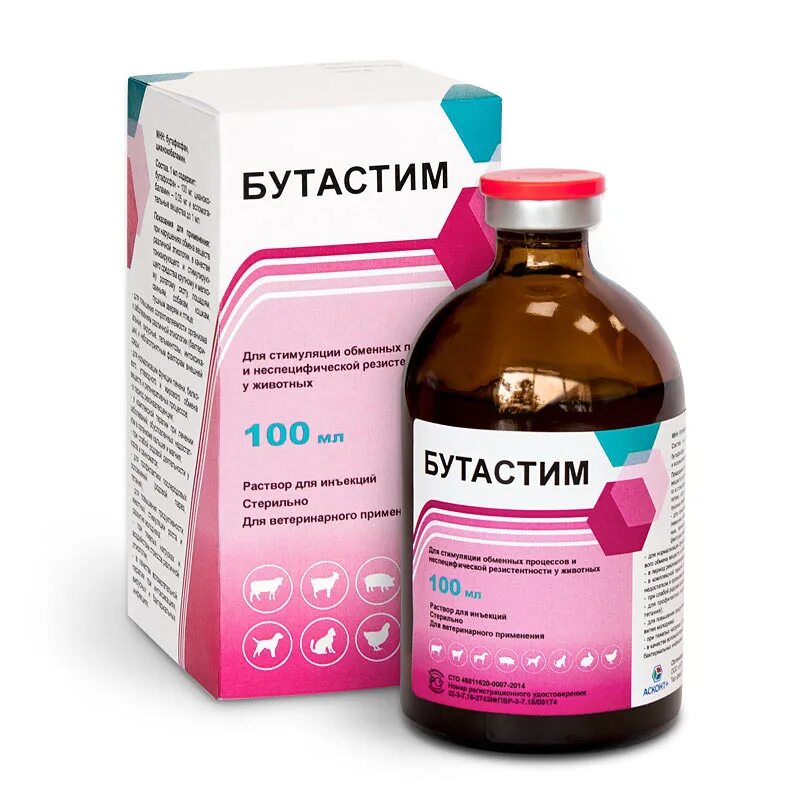 Укол коту внутримышечно в бедро. Энцефалография это у собак и. Компьютерная томография животных. Лучевая терапия животных. Лазерная терапия животных.