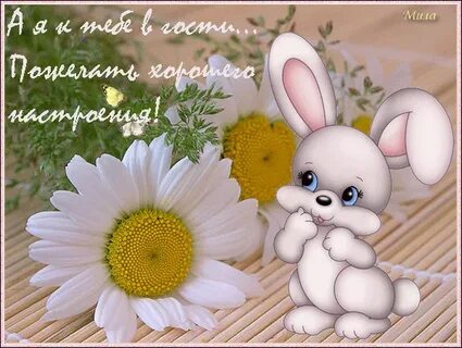 Доброго денечка любимая
