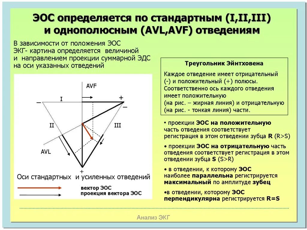 Ось стандартная. ЭКГ зубцы отведения электрическая ось сердца. Треугольник Эйнтховена ЭКГ ось сердца. Ось отведения AVR перпендикулярна оси. ЭКГ отведения расположение осей.
