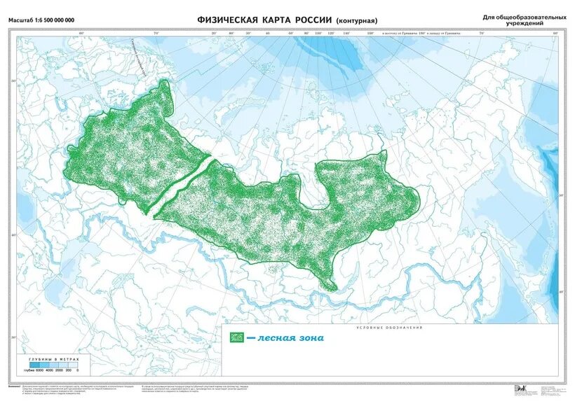 Контурная карта природные зоны России Тайга. Лесные зоны Росси контурные карьцы. Тайга на карте России природных зон. Контурная карта России зона лесов.