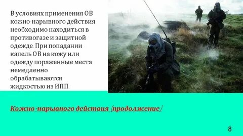 Способы защиты от бтхв