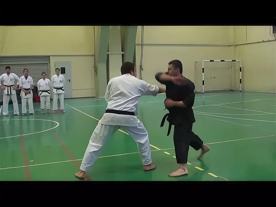 Шорин карате