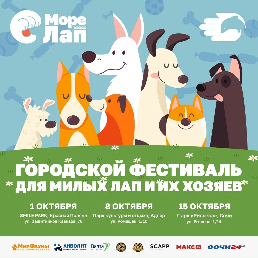 Море лап. Море лап бренд зоны.