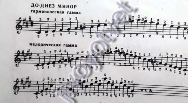 Фа диез минор. Три вида гаммы до диез минор. Гамма до диез минор 3 вида Ноты. Гамма до диез минор натуральный гармонический мелодический. Гамма фа диез минор натуральный.