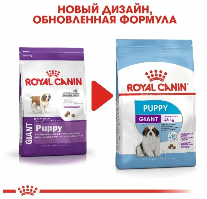 Корм royal canin для мелких собак. Роял Канин для щенков 3 кг. Роял Канин Паппи для щенков мелких пород. Роял Канин Эксиджент мини 3кг для собак. Роял Канин мягкий корм для собак мелких пород.