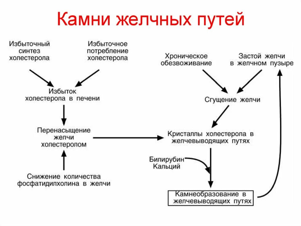 Биохимия желчный. Схема патогенеза образования желчных камней. жкб патогенез схема. биохимические механизмы развития желчекаменной болезни. патогенез желчнокаменной болезни биохимия.