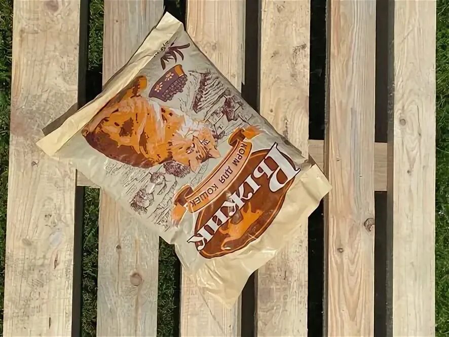 рыжик деликатесный. сорта рыжика. королевский рыжик гриб. рыжик сосновый/боровой (lactarius deliciosus);.