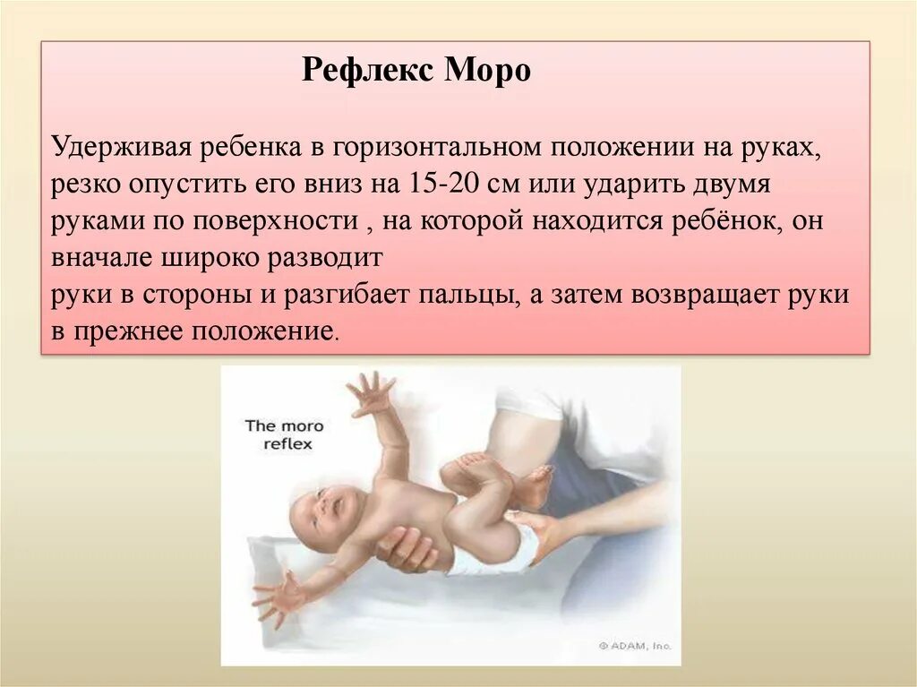 Условные рефлексы грудного ребенка. Гипертонус мышц сгибателей у новорожденных. Кормление ребенка с церебральным параличом. Ребенка положение соответствующее его. Как укрепить взрослого.