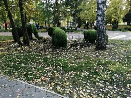 Парк имени 60 летия