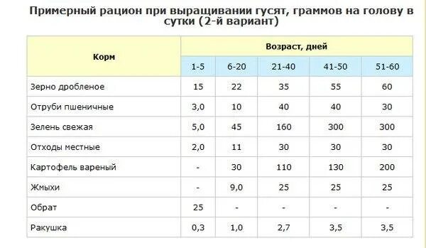 Чем кормить суточных гусят. Таблица корма гусят. Рацион для гусят с первых дней. Рацион кормления гусят. Нормы кормления гусей таблица.