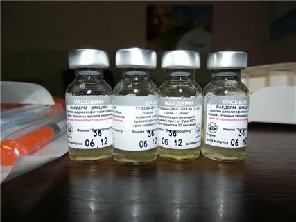 Вакцина вакдерм