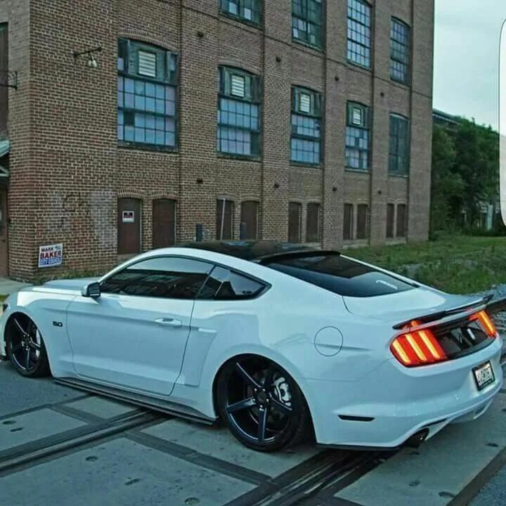 Форд мустанг gt 2010. Ford mustang ночью. Почему станг а не мустанг. Форд мустанг 2018. Ford mustang roush 2013.