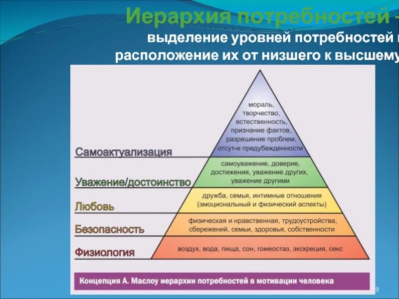 Направление развития от низшего. Потребности человека Маслоу. Маслоу иерархия потребностей 5. Пирамиду Маслоу "иерархия экономических потребностей".\. Теория Маслоу от высшего к низшему.