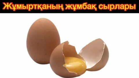Мәскеу жезөкшелерінің ең жақсы профильдері