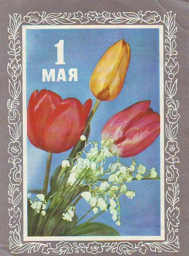 Открытки с первым мая советские. Открытки с 1 мая. Советские открытки с 1 мая. Стильные открытки с 1 мая. Майские праздники открытки советские.