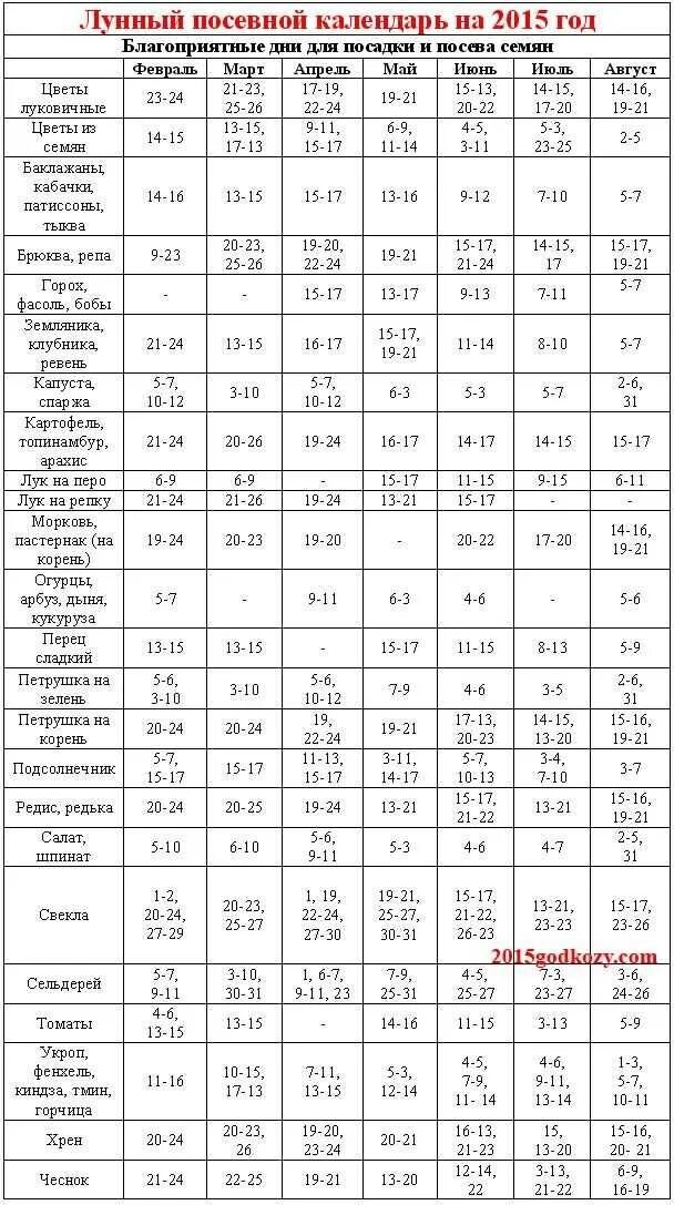 В какие дни можно садить рассаду. Посевной календарь. Лунный посевной календарь. Лунный календарь посадок. Календарь посадки рассады.