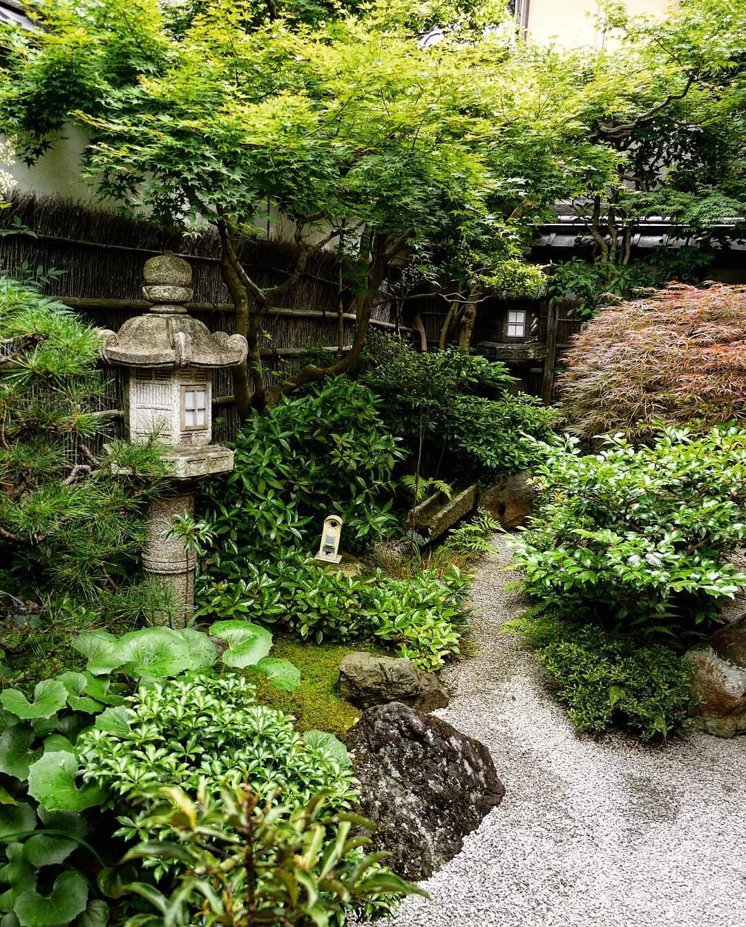 Сад джунгли на дачи. Палисадник в японском стиле. Ландшафтный пейзажный сад японии. Стиль китайского сада шига куин. Японский клен ниваки.