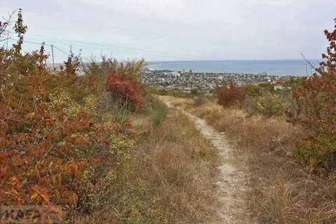 Тепе оба новости