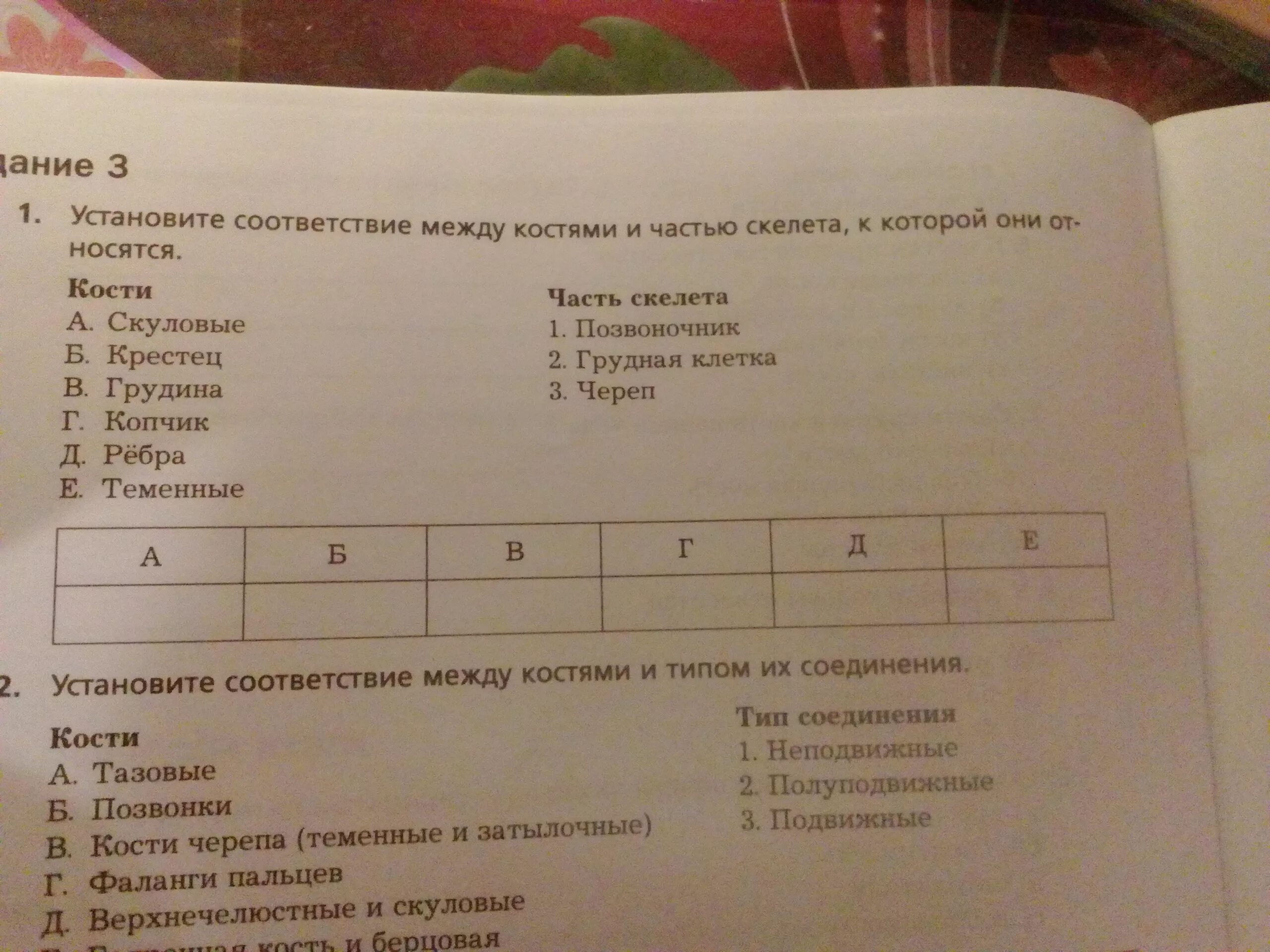 Соответствие между костями и типом их соединения. Установите соответствие между скелетом и костями. Установите соответствие между костями и типами их соединения. Установите соответствие между костями и типом соединения. Установить соответствие кости скелета человека