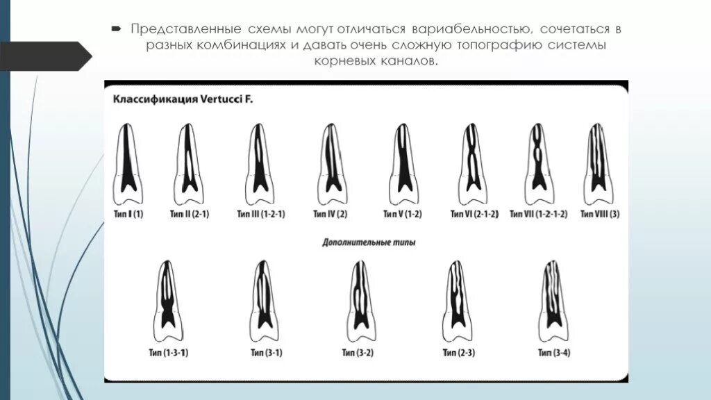 Классификация корневых каналов Vertucci. Классификация конфигураций корневых каналов. Типы корневых каналов по Вейну. Классификация Вейна корневых каналов. Формы корневых каналов